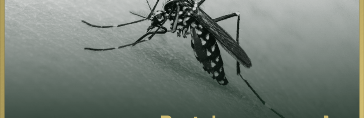 Proteja sua casa do Aedes Aegypti