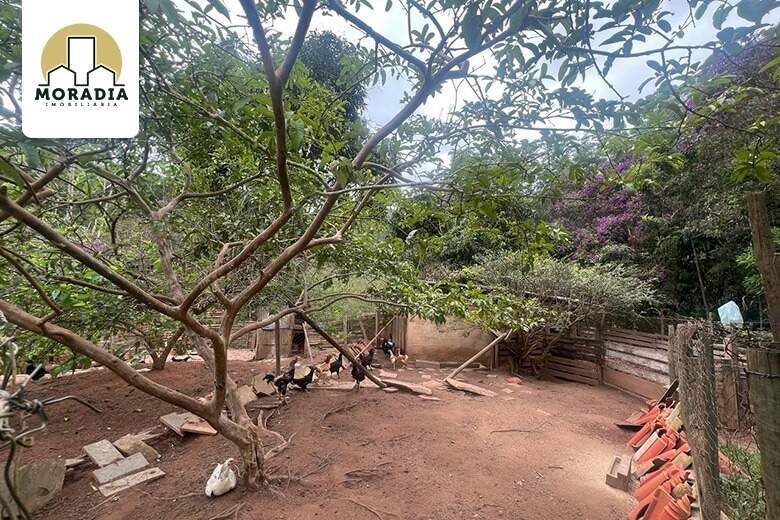 Sítio a venda com 24 hectares do distrito de Hematita em Antônio Dias