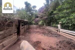 Sítio a venda com 24 hectares do distrito de Hematita em Antônio Dias