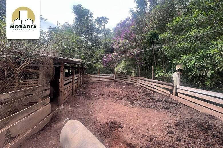 Sítio a venda com 24 hectares do distrito de Hematita em Antônio Dias