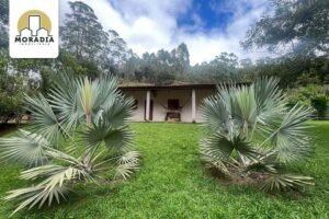 Sítio a venda com 24 hectares do distrito de Hematita em Antônio Dias