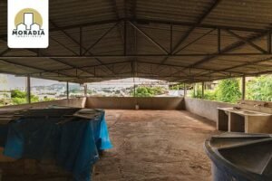 Casa a venda com 3 quartos no bairro Vila Celeste em Ipatinga
